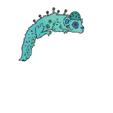 Taxidermied Ornament